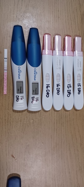 Temp did 4 weeks in... scared of miscarriage