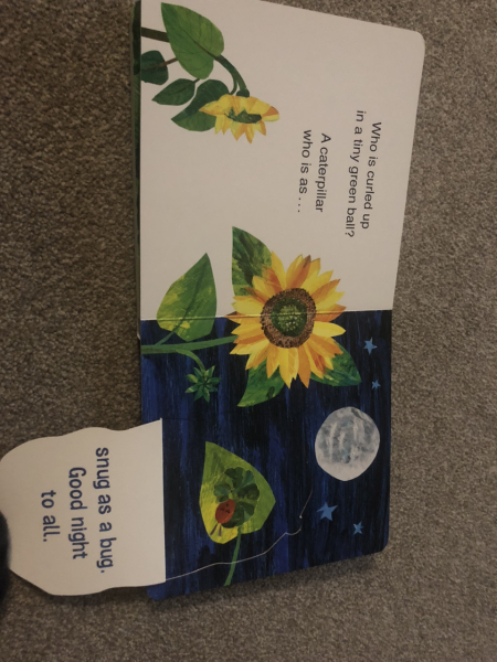 Does anyone have the children's book 'Sleep Tight Very Hungry Caterpillar'?