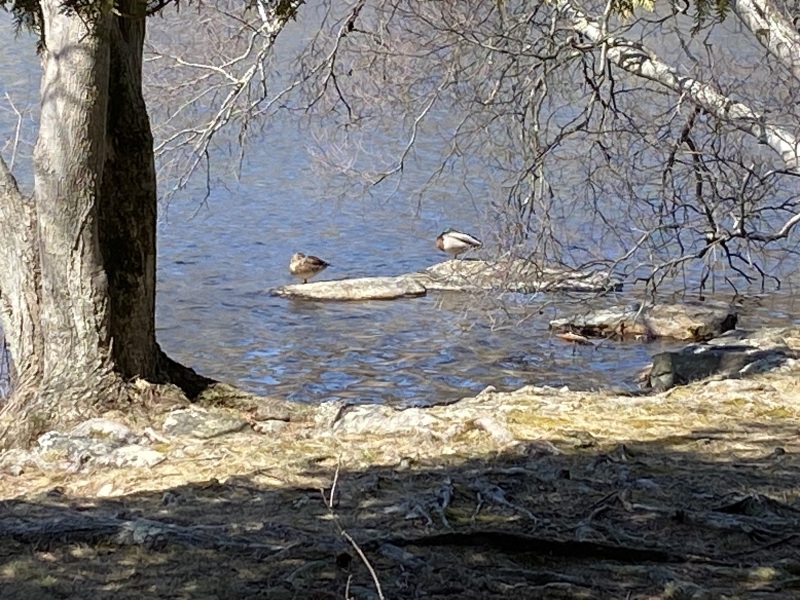 Come and tell me your dull and unexciting news 24: Calmly through the day 