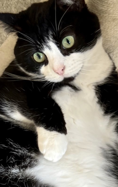 Cancer Support thread 86 - Stay Positive 