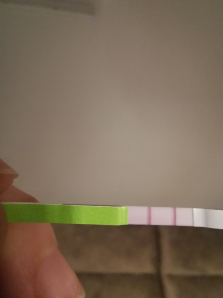 Anyone else TTC #1? Just looking for TTC buddies!