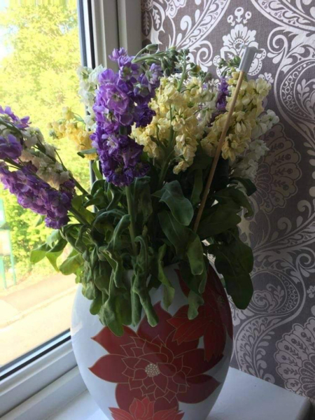 To call the florist and ask for a fresh bunch of flowers