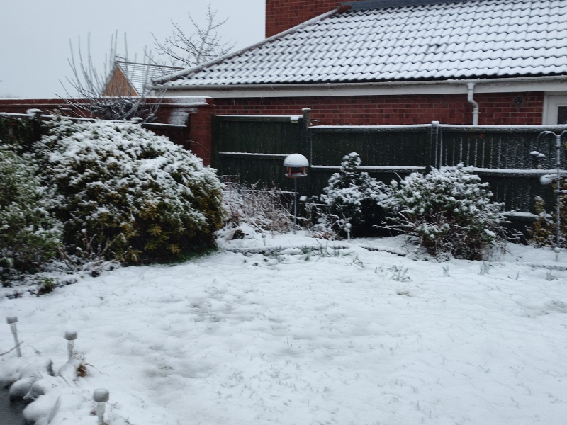 Winter Weather Outlook. Part 2: Into January '23