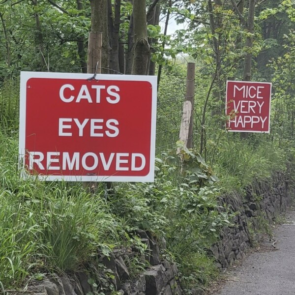 Funniest thing you’ve seen when driving?