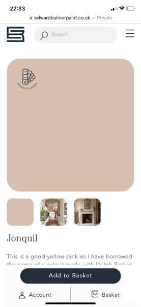 Plaster coloured paint