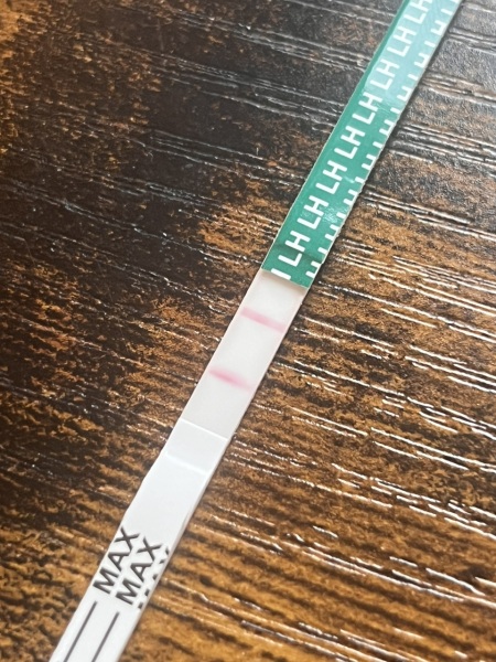 Ovulation / LH