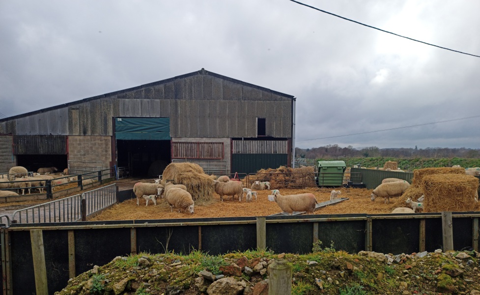 Best foot forward for 2023: a thread for walkers