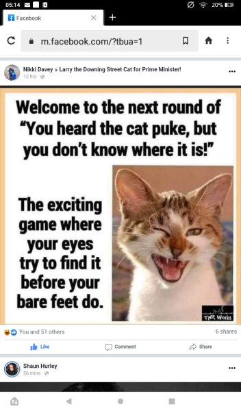 Hundreds of cats, thousands of cats, millions and billions and trillions of cats