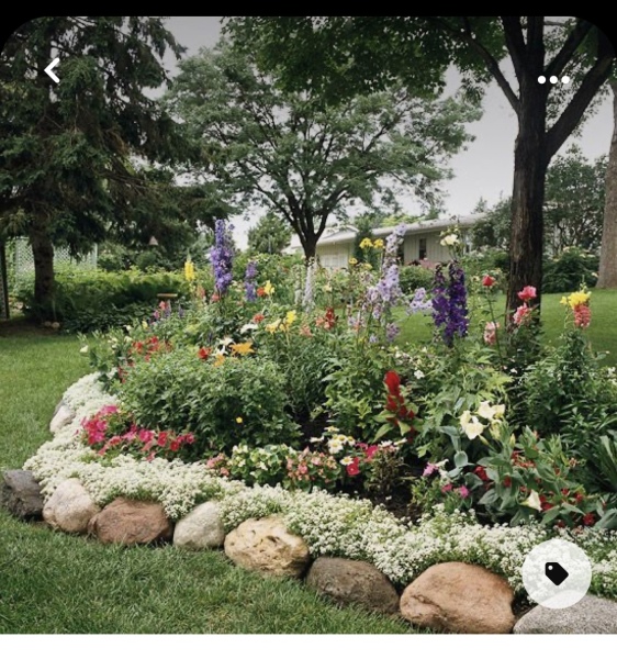 What is this plant at the front of the photo. 