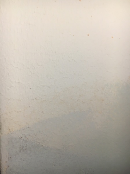 Help me find this paint
