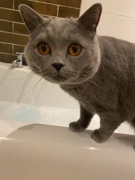 Thread 5 - TalkExiles: "The Planet Goes On Being Round"