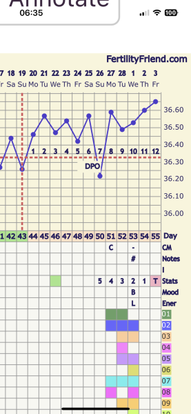 Bbt started to rise again