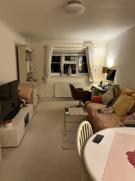 Long living room any ideas