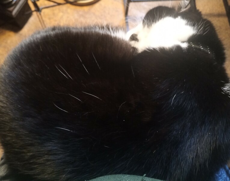 Any Witches Here?- Part 18