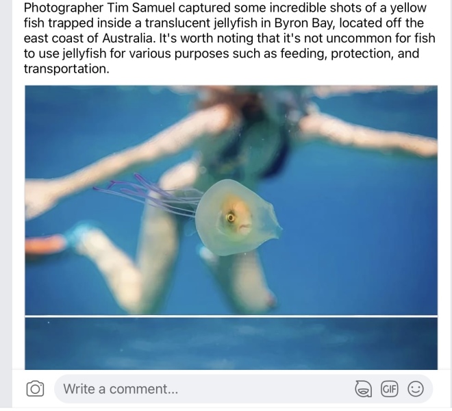 Things that are utterly bloody fascinating