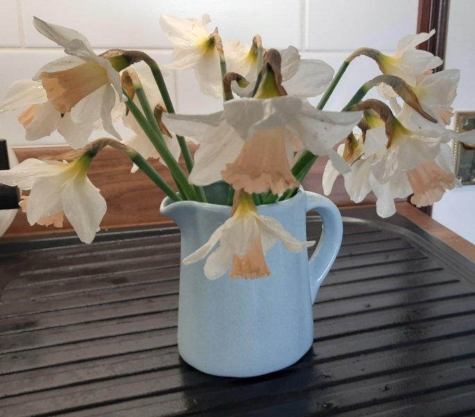 Show Us Your Pictures 6