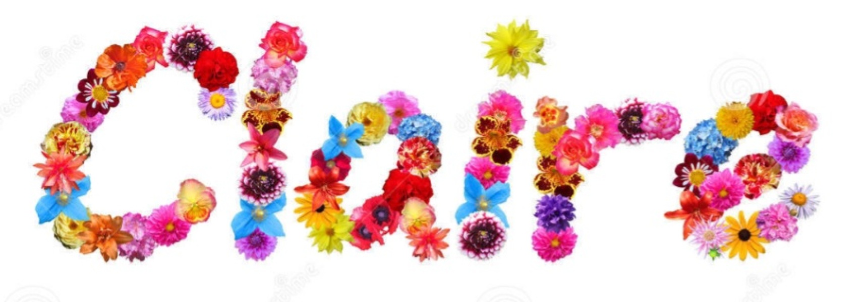 No Words, Just flowers for Claire '#2'