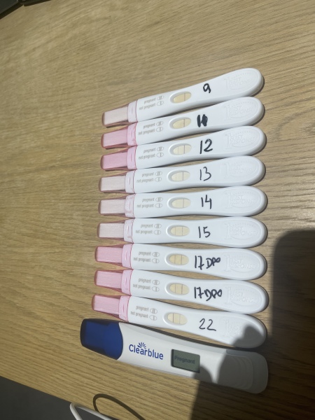 Please help I’m in a panic chemical pregnancy 