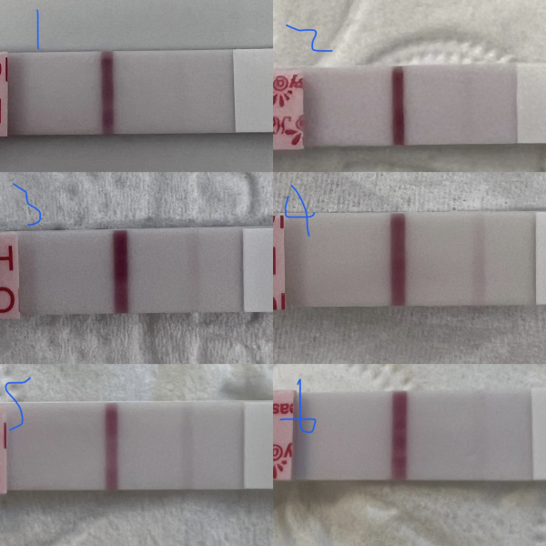 First Timers TTC. Safe space for brain dumps, questions, whinges and celebrations. Part 2!