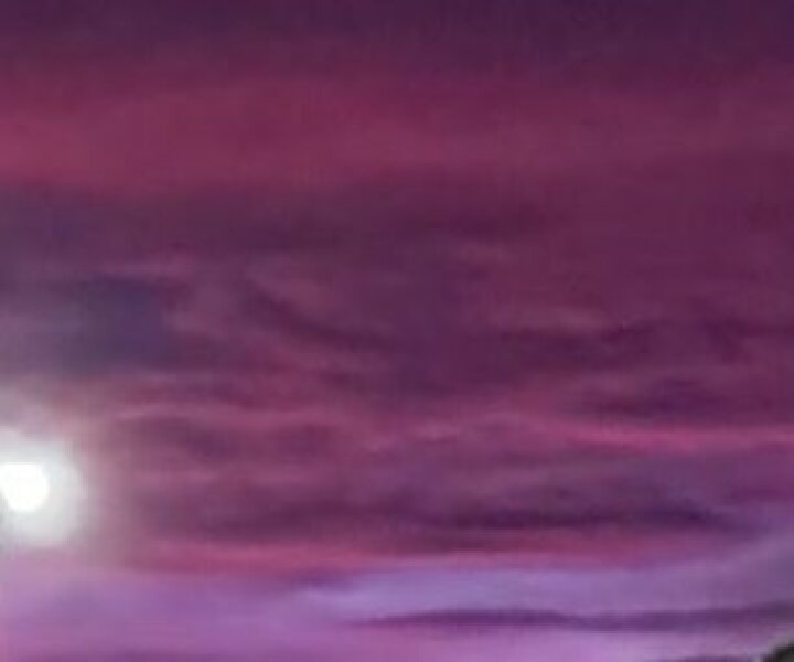 Gender Critical Disputes - Radical Notion special edition free to read online