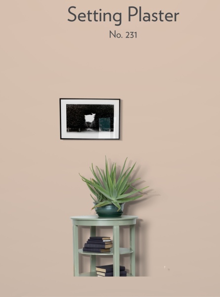 Plaster coloured paint