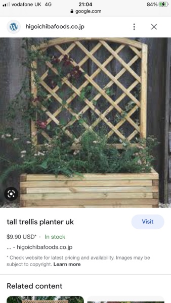 Advice needed Re Neighbour 