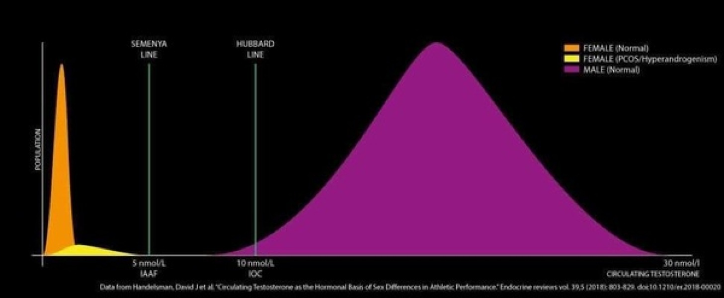 AIBU to think this man (who has undergone no transitioning) should be allow play on women's teams. Sick to my stomach this is happening.