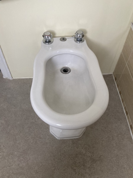 To love a bidet?