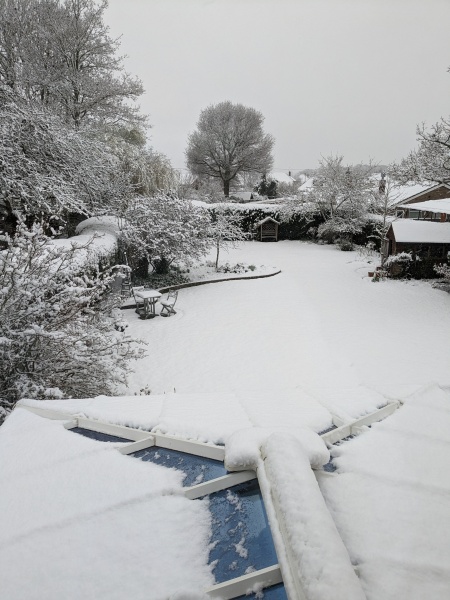Snow Day!!!