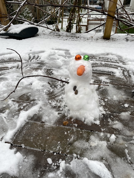 Snow Day!!!