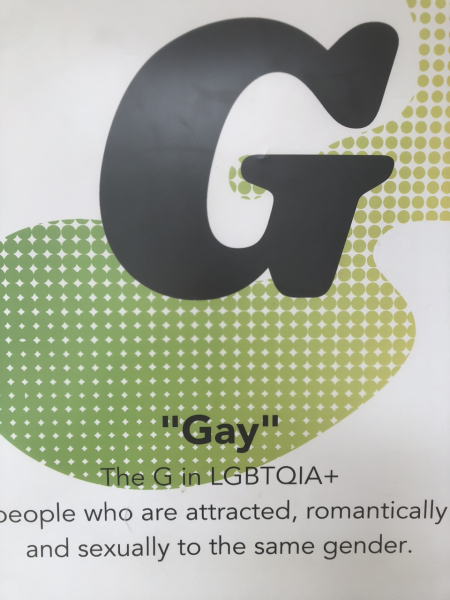 LGBT ally school