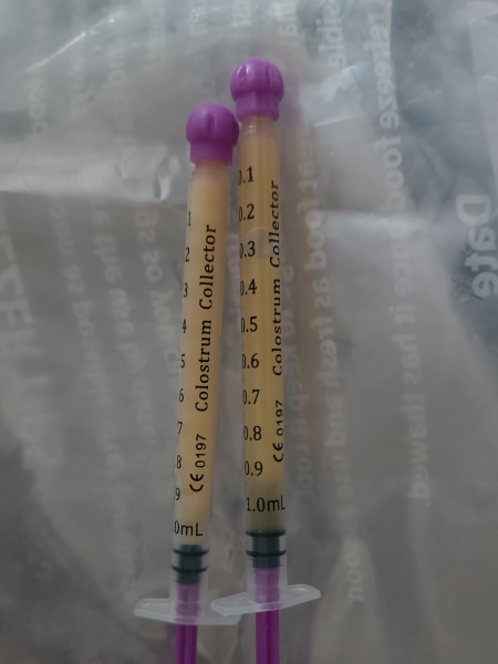 Due March 2023 - Thread 9