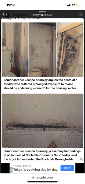 Mould in homes - if it's THAT bad, sort it yourself?