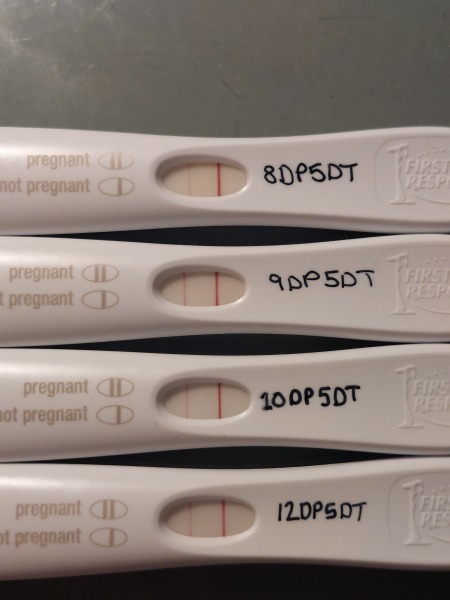 Due November 2023 ✨