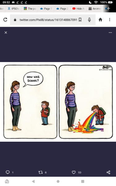 Why Would  ‘Feminist’ Workshop for Age 6-7 Girls & Non Binary People Wish to Ensure Parents Can’t Hear What is Being Discussed? 