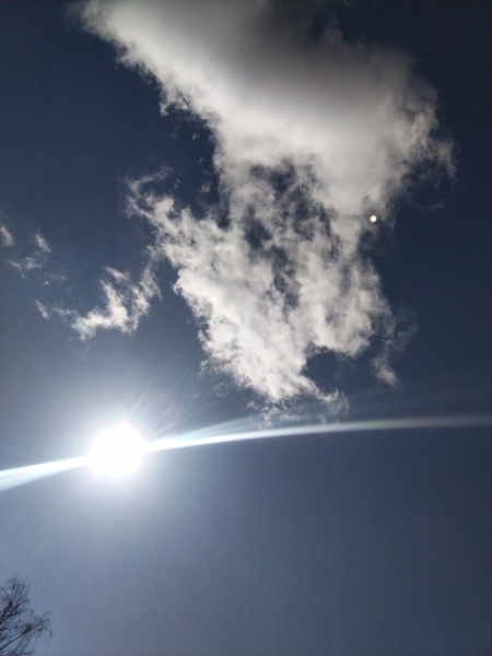 To ask when the Sun is going to come out?