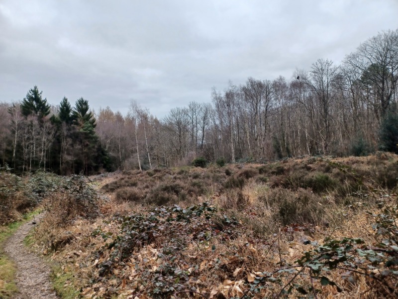 Come chat hiking with me!