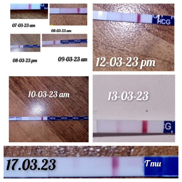 Anyone else TTC #1? Just looking for TTC buddies!