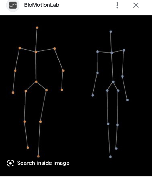 Fighting Gender Ideology in the WI