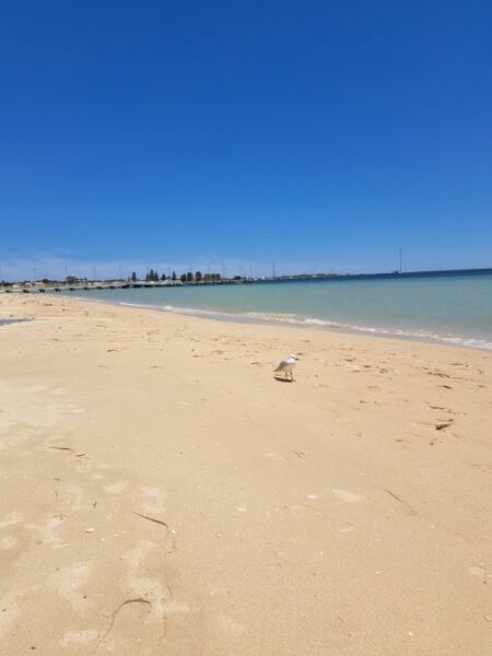 What do you wish you could do within walking distance of your home?