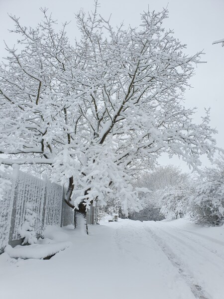 This snow is inadequate 