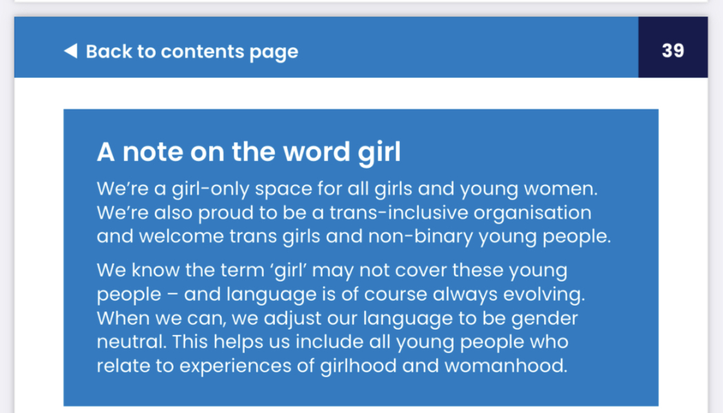 Girl guides strike again 