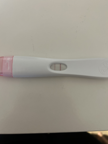 Due November 2023 ✨