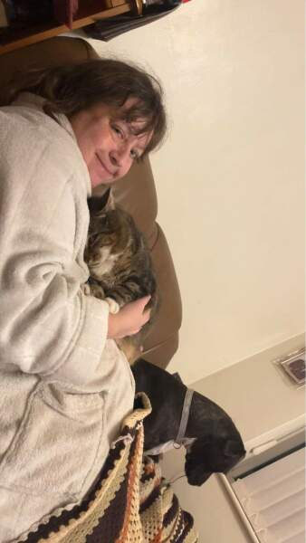 Hundreds of cats, thousands of cats, millions and billions and trillions of cats