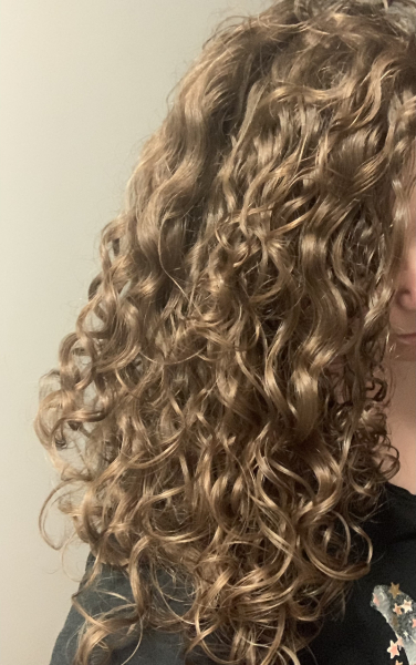 Hair Holy Grail Products