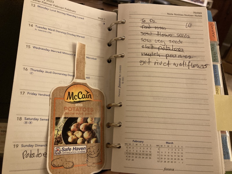Does anyone else prefer a paper diary? 