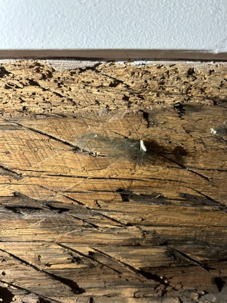 What is this??
