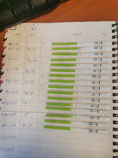 5th cycle ttc, opks and bbt 
