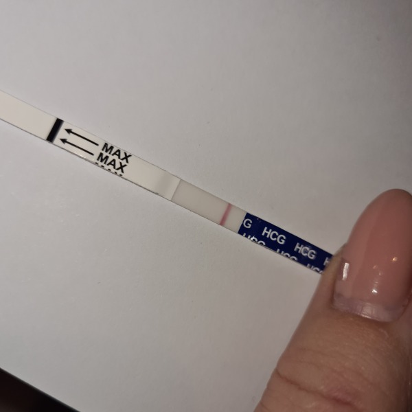 2dpo - any TWW companions?