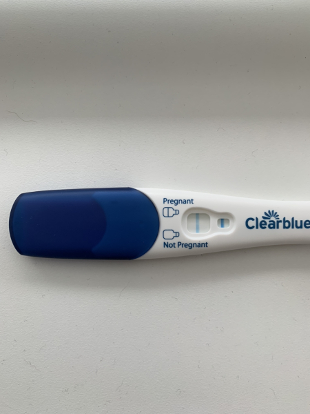 Due November 2023 ✨